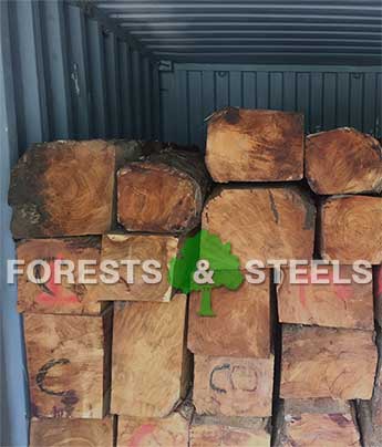 Forests and Steels Timber
